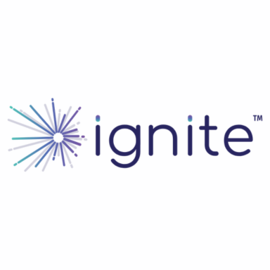 Ignite IT Jobs